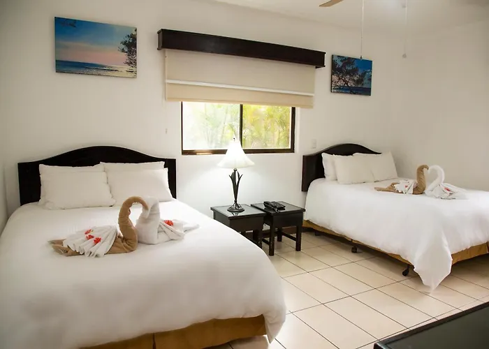 Papagayo Y 4*