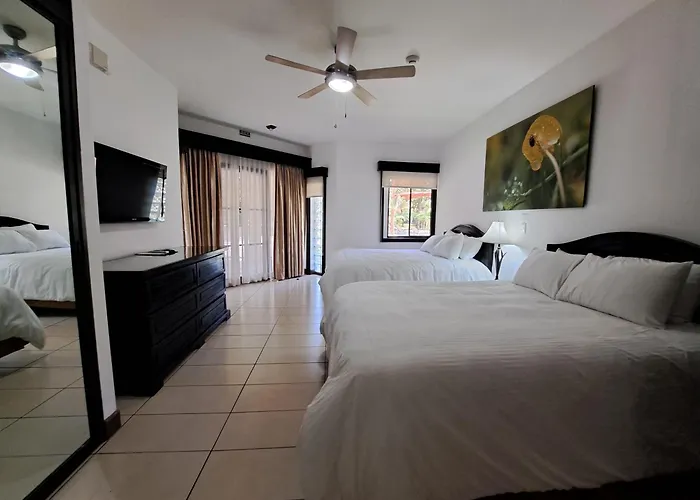Papagayo Y Hotel Panamá